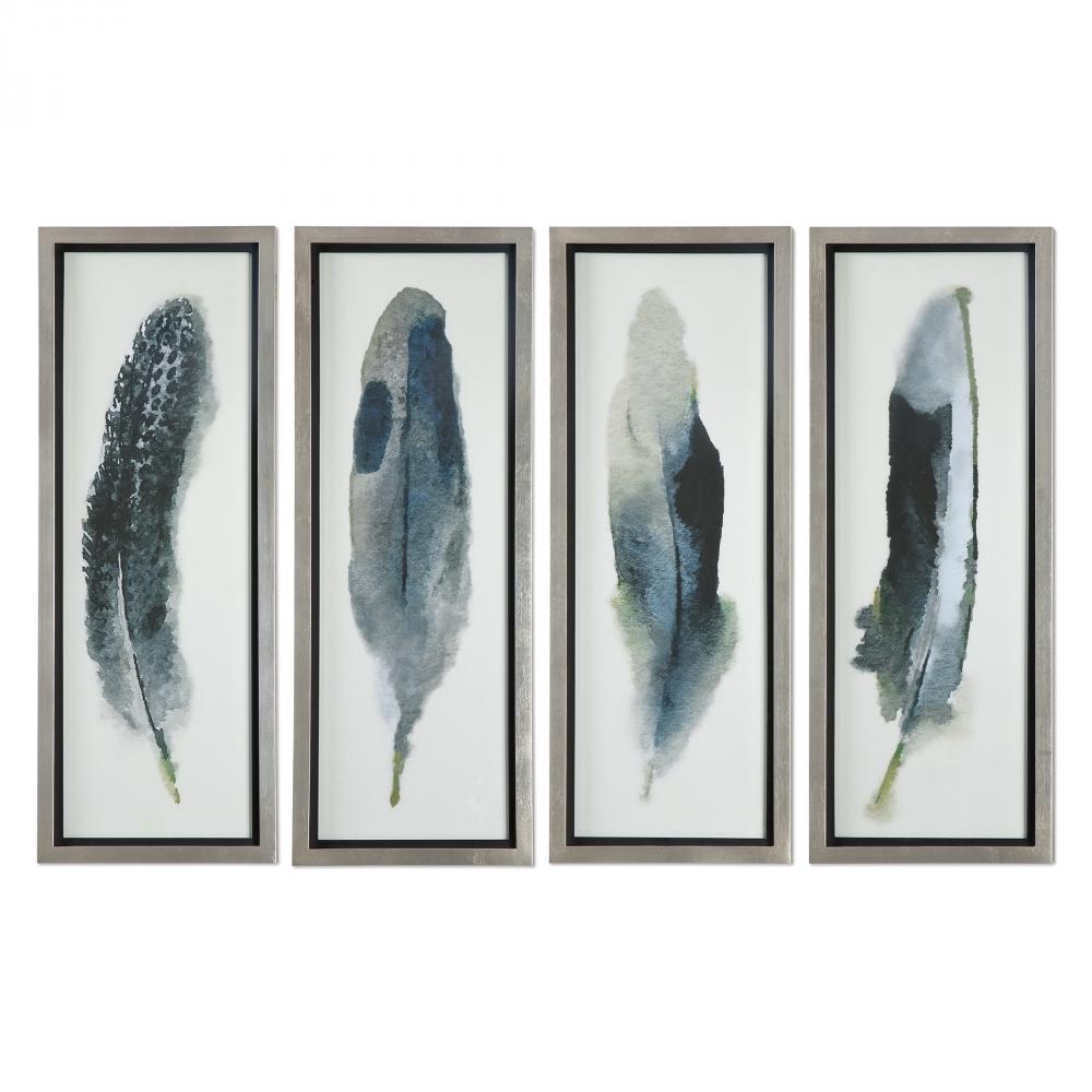 Uttermost Feathered Beauty Framed Prints, S/4