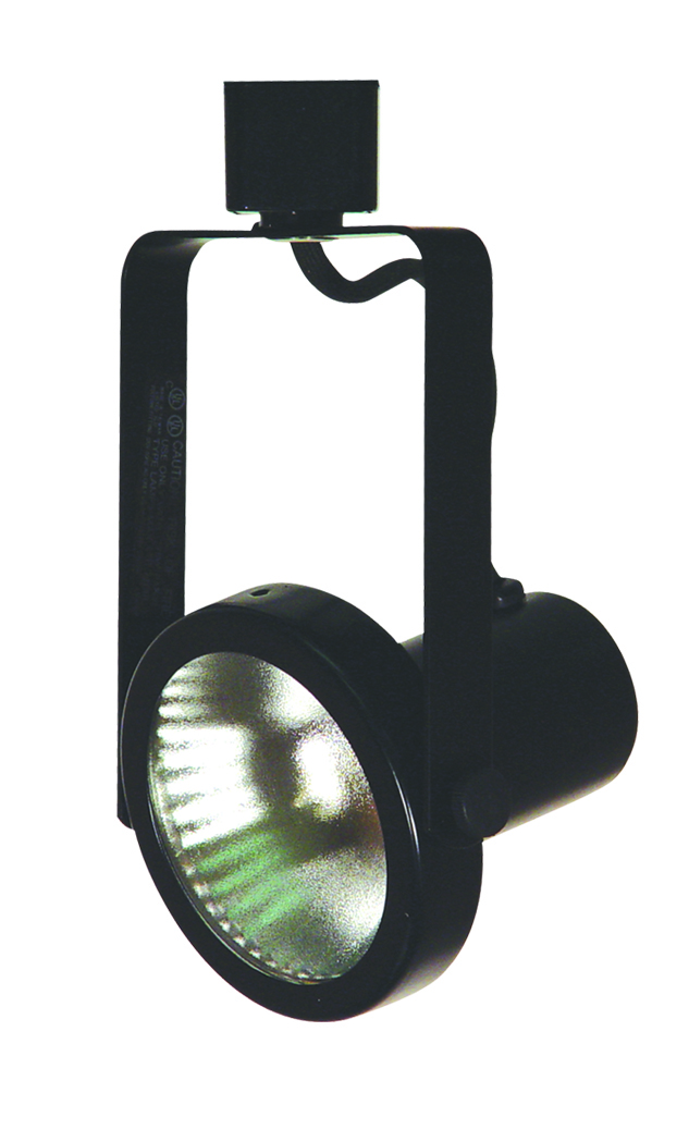 Line Voltage Fixture, Par 38