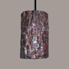 A-19 PN20302-BCC-1LEDE26 - Bark Pendant (Black Cord & Canopy)