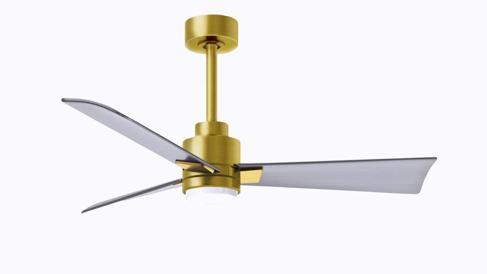 Alessandra 3-blade transitional ceiling fan in a brushed brass finish with brushed nickel blades.