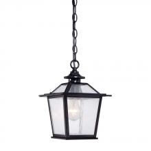 Acclaim Lighting 9706BK - Salem Collection Hanging 1-Light Outdoor Matte Black Light Fixture