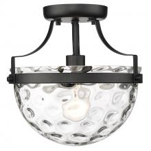 Acclaim Lighting IN60099BK - 1-Light Semi-Flush