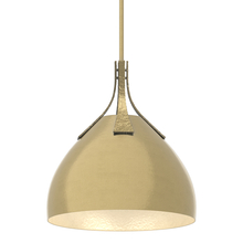 Hubbardton Forge 134502-SKT-MULT-86-86 - Summit Pendant