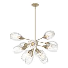 Hubbardton Forge 134515-SKT-MULT-84-ZM0621 - Ensemble Pendant