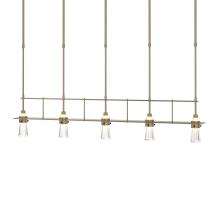 Hubbardton Forge 137725-SKT-SHRT-84-ZM0343 - Erlenmeyer 5 Light Pendant