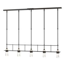 Hubbardton Forge 137725-SKT-STND-14-ZM0343 - Erlenmeyer 5 Light Pendant