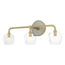 Hubbardton Forge 201342-SKT-86-85-ZM0709 - Ume 3-Light Curved Arm Bath Sconce