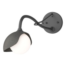 Hubbardton Forge 201376-SKT-10-20-GG0711 - Brooklyn 1-Light Single Shade Long-Arm Sconce